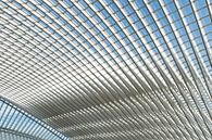 Futuristisches Dach des Bahnhofs Lüttich-Guillemins von Wim Stolwerk Miniaturansicht