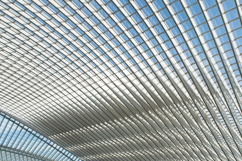 Futuristisches Dach des Bahnhofs Lüttich-Guillemins von Wim Stolwerk