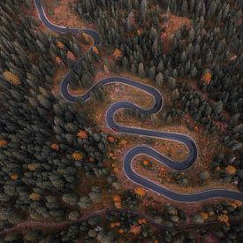 Schlangenstraße Dolomiten Italien | Kurvenreiche Straße in Herbstfarben von Photo Wall Decoration