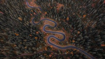 Snake Road Dolomites Italy | Winding Road in Autumn Colors by Photo Wall Decoration