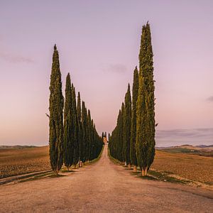 The Guardians of Poggio Covili