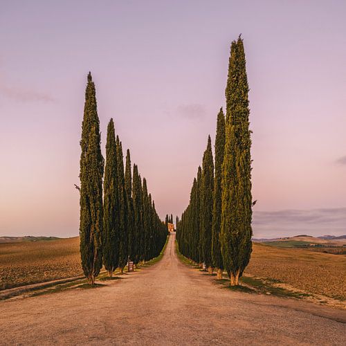 The Guardians of Poggio Covili by Teun Ruijters