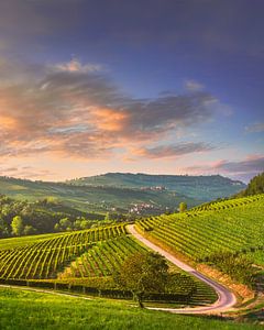 Blick auf die Weinberge der Langhe und eine Straße in Barolo