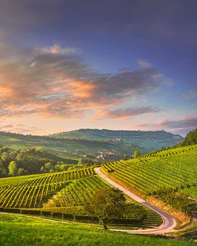 Blick auf die Weinberge der Langhe und eine Straße in Barolo von Stefano Orazzini