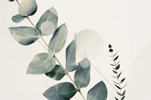 Eucalyptus & Geometrie: Organische symmetrie