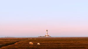 herkenningspunt van Eiderstedt, de vuurtoren Westerheversand van Heiko Westphalen