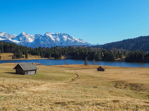 Voorjaarsmagie aan de Geroldsee - delicate krokusbloesems, rustig water en een indrukwekkende bergachtergrond. Een romantisch alpine motief vol kleur en rust.