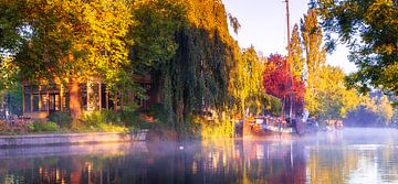 L'automne le long de la rivière Vecht sur Henk Leijen