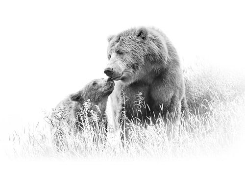 Grizzly Beer Met Jong In Zwart Wit