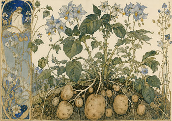 Potato Moon