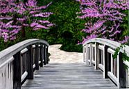Brug van Gulserin Gokcan thumbnail