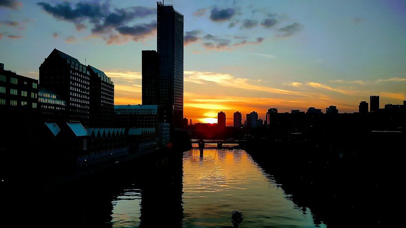 Prachtige kop van zuid by Milind Padalikar