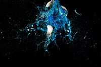 Boule de Noël explose avec des étoiles