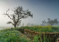 Work on the Groeneweg