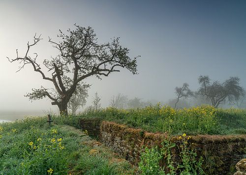 Werk aan de Groeneweg van Nicolette Eekhof