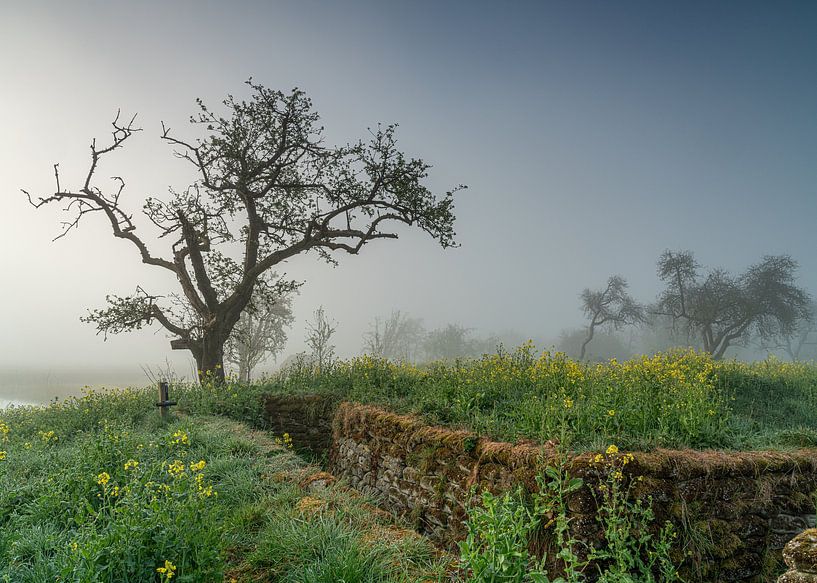 Work on the Groeneweg by Nicolette Eekhof