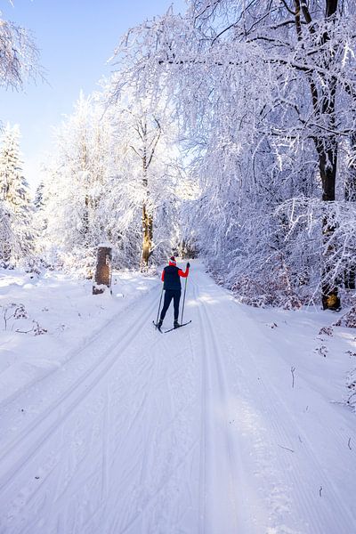 Cross-country skiing in the snowy Thuringian Forest near Floh-Seligenthal - Thuringia - Germany by Oliver Hlavaty