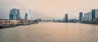 Rotterdam Skyline vanaf de Willemsbrug van Anouschka Hendriks thumbnail