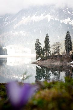 Obersee, Zwitserland van Hottentot