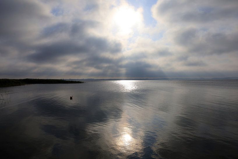 Usedom, Achterwasser by Thomas Jäger