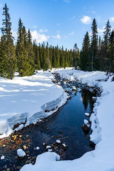 Winter landscape by the river by Leo Schindzielorz