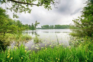 Haarsteegse Wiel