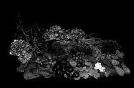 Herfst in zwart wit van Jan Tuns thumbnail