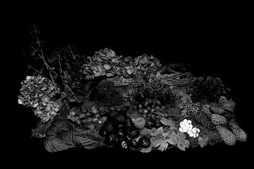 Herfst in zwart wit van Jan Tuns