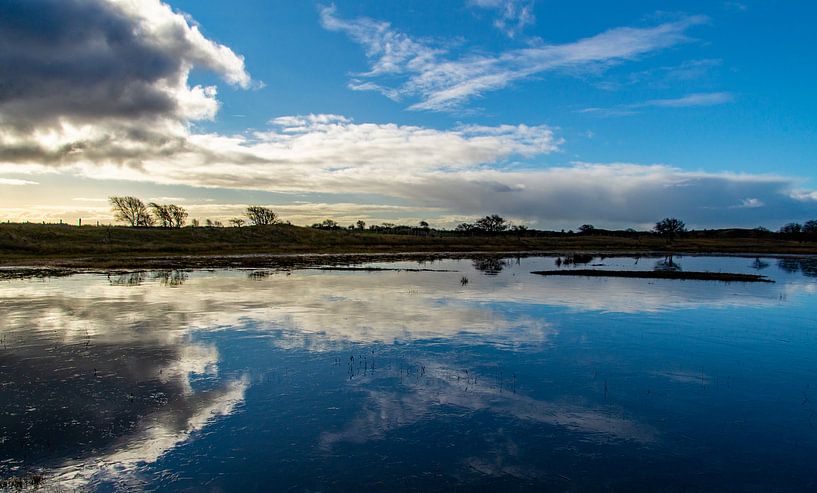 Reflexion des Himmels in einem gefrorenen Teich von Discover Dutch Nature