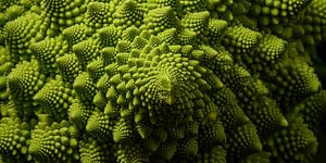 Biophiles Design: Panorama aus grünem Romanesco