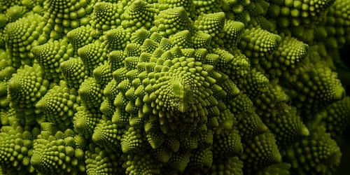 Biophilic design: Panorama van groene Romanesco