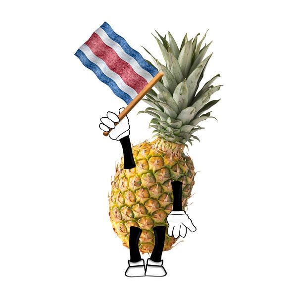 Pineapple with Costa Rica flag by Grüntyers .