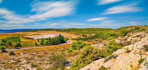 Landschap met wijngaarden bij Gruissan in Zuid-Frankrijk