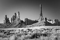 De Totempaal in Monument Valley in Zwart-Wit van Henk Meijer Photography thumbnail