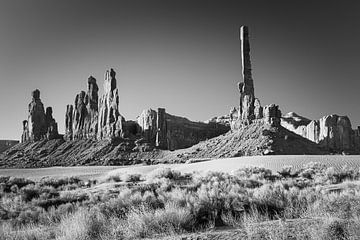 Der Totempfahl im Monument Valley in Schwarz und Weiß