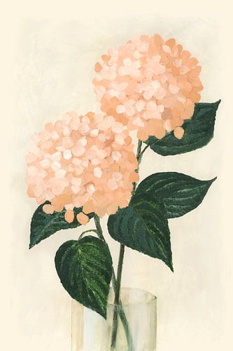 Koraalhortensia's in een vaas