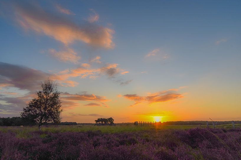 Zonopkomst bij de paarse heide en grafheuvels op de Regte Heide van Miranda Rijnen Fotografie