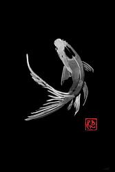 carp koi in black