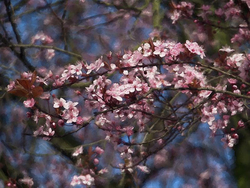 roze 3 van Edgar Schermaul