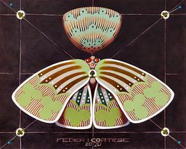 Clubs vlinder van federico cortese