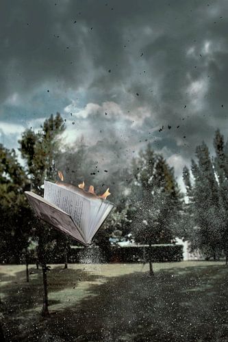Dramatisches Feuer: Tagebuch in Flammen mit Rauch und Mehl - Surrealistische Szene von Elianne van Turennout