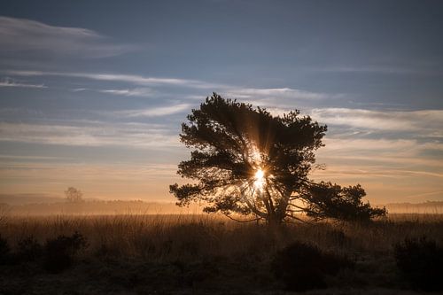 Sunrise Harderwijk