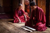 Jonge monniken in gebed ruimte in Dzong van Trongsa Bhutan. Wout Kok One2expose van Wout Kok thumbnail