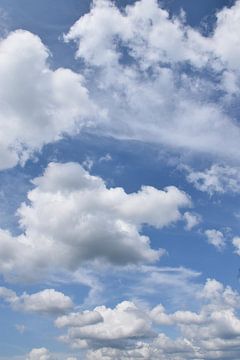 Wolken in een zomerbedrijf van Claude Laprise