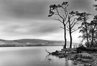 Lake (Loch Tay) in Scotland - Black and White
