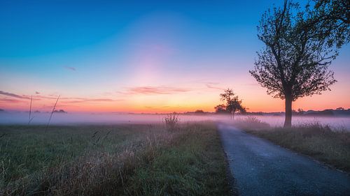 Zonsopgang in de rioolwaterzuiveringsinstallatie