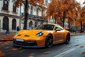 Porsche 911 GT3 im Herbst