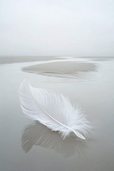 White feather on wet sand by Imperial Art House