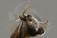 Longhorn 5