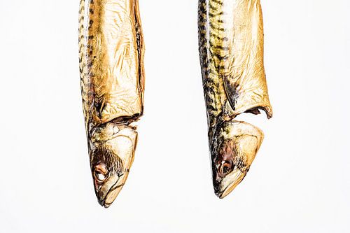 Twee makrelen koppen